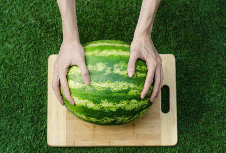 Summer and fresh watermelon topic: human hand with a knife beginning to cut a watermelon on the grass on a cutting board studioの写真素材