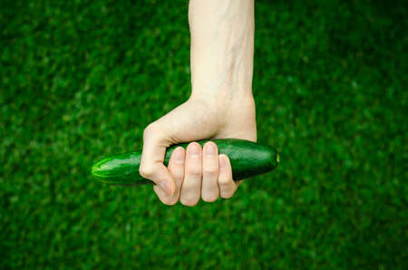 Vegetarians and fresh fruit and vegetables on the nature of the theme: human hand holding a cucumber on a background of green grass top view studioの写真素材