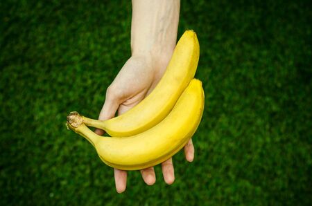 Vegetarians and fresh fruit and vegetables on the nature of the theme: human hand holding a bunch of bananas on a background of green grass top view studioの写真素材