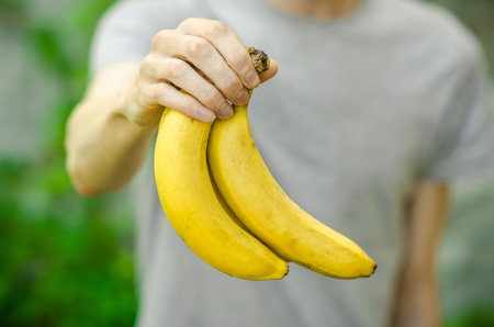 Vegetarians and fresh fruit and vegetables on the nature of the theme: human hand holding a bunch of bananas on a background of green grass studioの写真素材