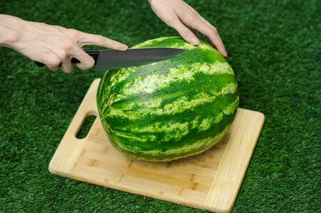 Summer and fresh watermelon topic: human hand with a knife beginning to cut a watermelon on the grass on a cutting board studioの写真素材
