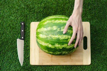 Summer and fresh watermelon topic: human hand with a knife beginning to cut a watermelon on the grass on a cutting board studioの写真素材