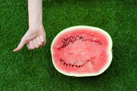 Summer and fresh watermelon theme: a man holds a slice of watermelon on a green background studioの写真素材