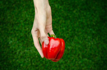 Vegetarians and fresh fruit and vegetables on the nature of the theme: human hand holding a red pepper on a background of green grass top view studioの写真素材