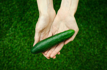 Vegetarians and fresh fruit and vegetables on the nature of the theme: human hand holding a cucumber on a background of green grass top view studioの写真素材