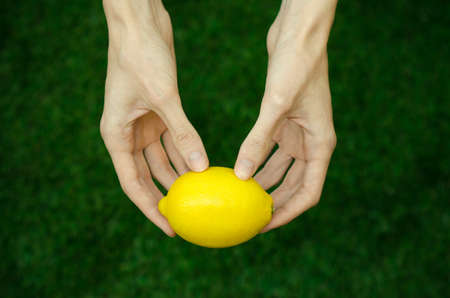 Vegetarians and fresh fruit and vegetables on the nature of the theme: human hand holding a lemon on a background of green grass top view studioの写真素材