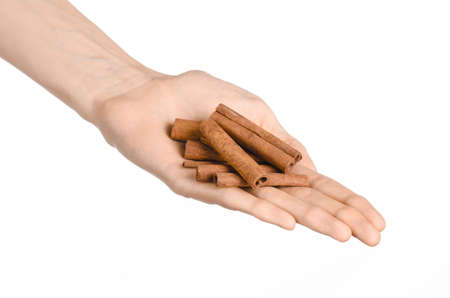 Spices and cooking theme: man's hand holding a brown pods cinnamon isolated on white backgroundの写真素材