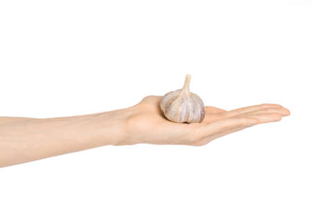 Spice and cooking theme: man's hand holding a dry garlic isolated on a white backgroundの写真素材