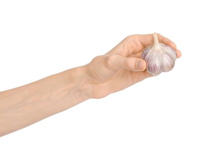 Spice and cooking theme: man's hand holding a dry garlic isolated on a white backgroundの写真素材