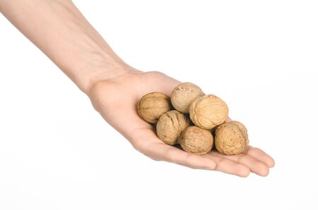 Nuts and meal preparation topic: human hand holding walnuts in shell isolated on white backgroundの写真素材