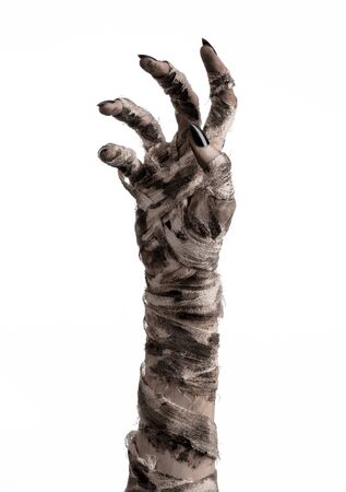 Halloween theme: terrible old mummy hands on a white backgroundの写真素材