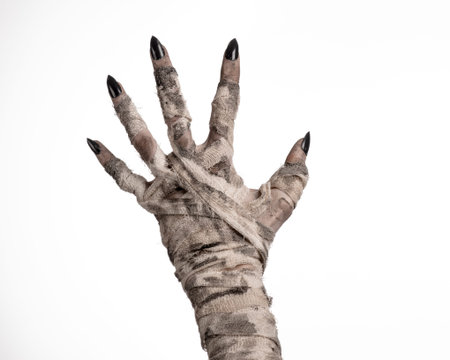 Halloween theme: terrible old mummy hands on a white background