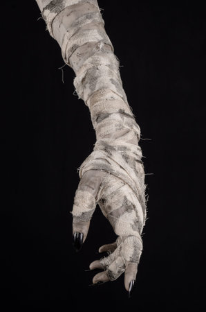 Halloween theme: terrible old mummy hands on a black background