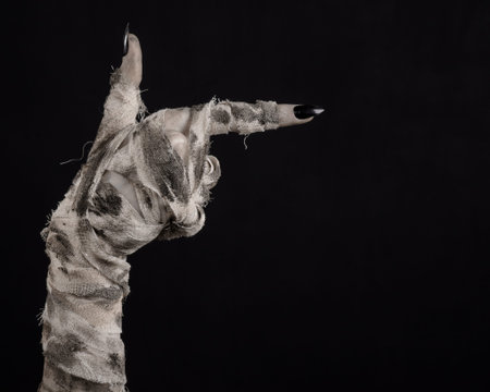 Halloween theme: terrible old mummy hands on a black background