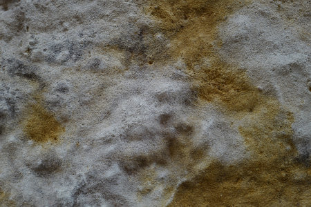 Stone texture for disign and artsの写真素材