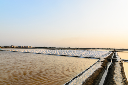 Saline in thailand at sun setの写真素材