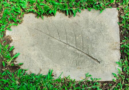 stone pathway closeupの写真素材