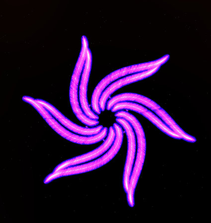 Abstract flower