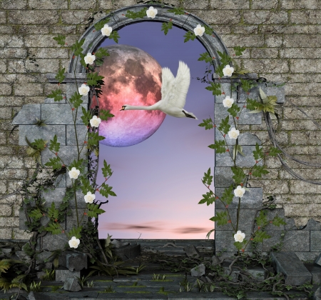 The secret passage series - enchanted swanの写真素材