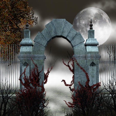 Gothic gate with fogの写真素材