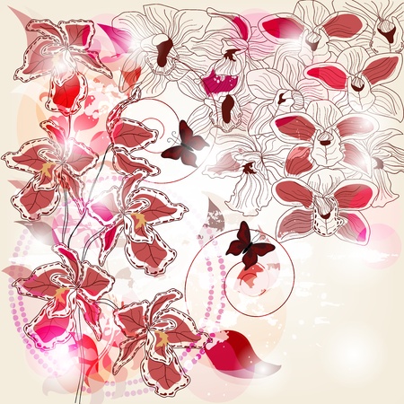 artistic composition with different kind of orchids and space for textのイラスト素材