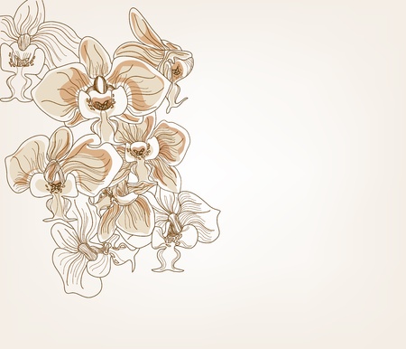 Greeting card with orchid flowersのイラスト素材