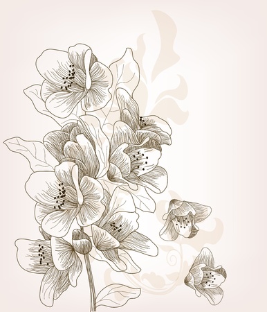 Vintage postcard with hand drawn cherry blossomのイラスト素材