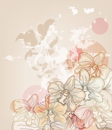 background or postcard with hand drawn orchids and space for textのイラスト素材