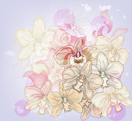 romantic composition with hand drawn orchidsのイラスト素材