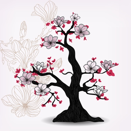 magnolia treeのイラスト素材