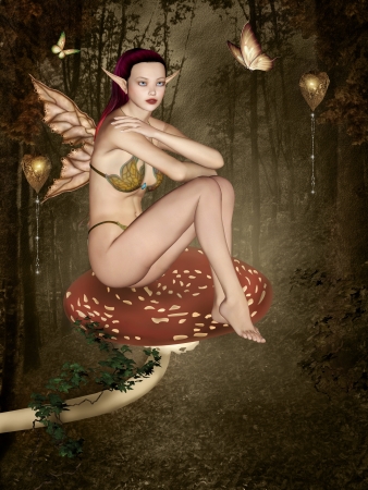 Magic woodの写真素材