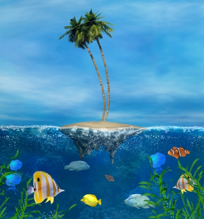Tropical Reefの写真素材