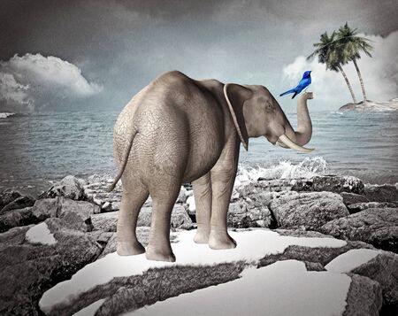 I rememberの写真素材