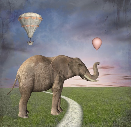 Freedomの写真素材