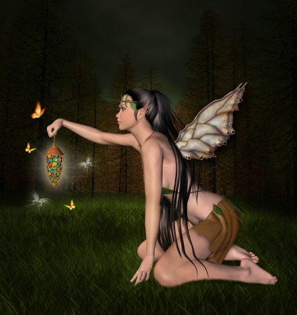 Night into the woodの写真素材