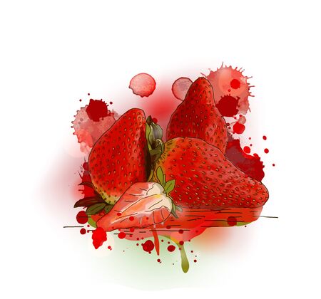 Strawberries time - Watercolor design のイラスト素材