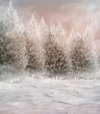 Frozen winter forestの写真素材