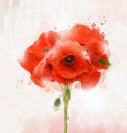Poppies bouquet - Oil paintingの写真素材