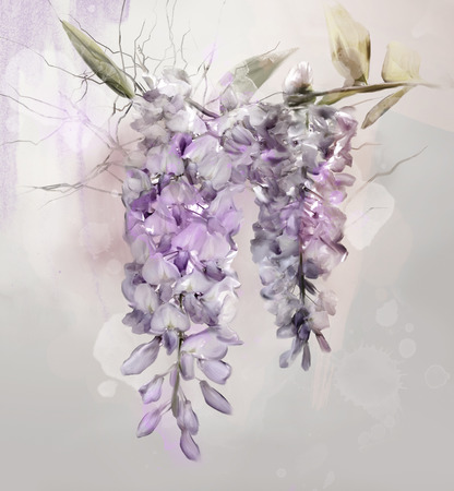 Wisteria watercolor paintingの写真素材