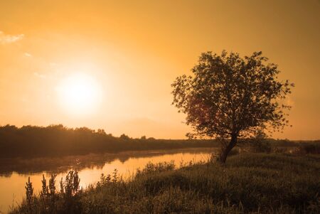 foggy morning sunny landscape with tree, grass and river の写真素材