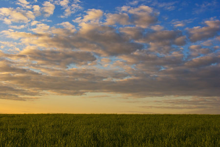 green grass field and dramatic cloudy sky at sunset