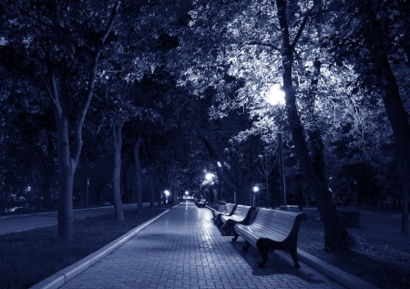 Night Park Wood Benches and Alley Late Autumn toned in blueの写真素材