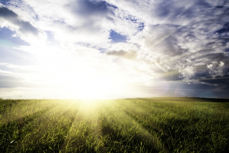 field green grass and dramatic sunset cloudy skyの写真素材