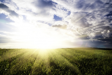 field green grass and dramatic sunset cloudy sky