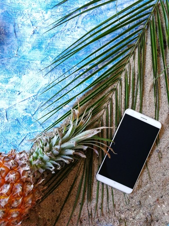 pineapple , grapefruit and bananas with a green branch of palm trees on the sand with the phoneの写真素材