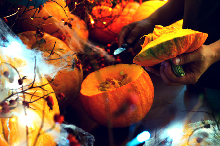 preparing for Halloween, cleaning and carving faces from pumpkins, pumpkins on a dark table with cobwebs and bokeh of lights, with bats from umagi and spiders, the concept of the feast of all saints ' dayの写真素材