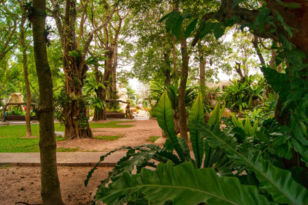 January 27, 2013 Nong Nooch Tropical Botanical Garden is a 500-acre botanical garden and tourist attraction at kilometer 163 on Sukhumvit Road in Chonburi Province, Thailand.のeditorial素材