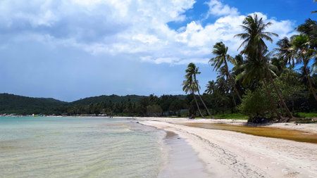 Beautiful beach. View of nice tropical beach with palms around. Holiday and vacation concept....
