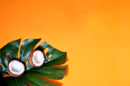 coconuts and tropical leaf of monstera plant on orange background. Flat layer, top view, copy space. Summer background, nature. Healthy cooking. Creative concept of healthy eating.の写真素材