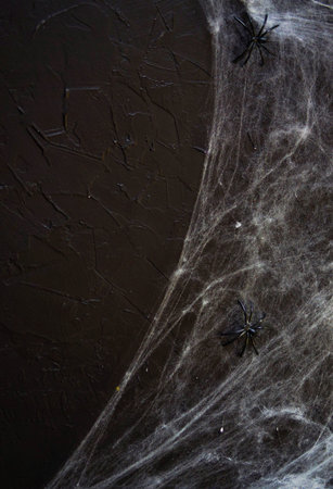 Cobweb or spider's web against a black background, to be used as overlay for Halloween designs.